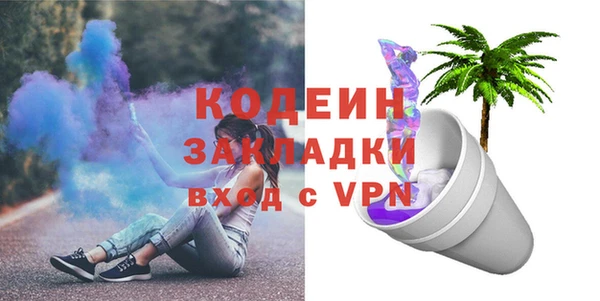 индика Богданович